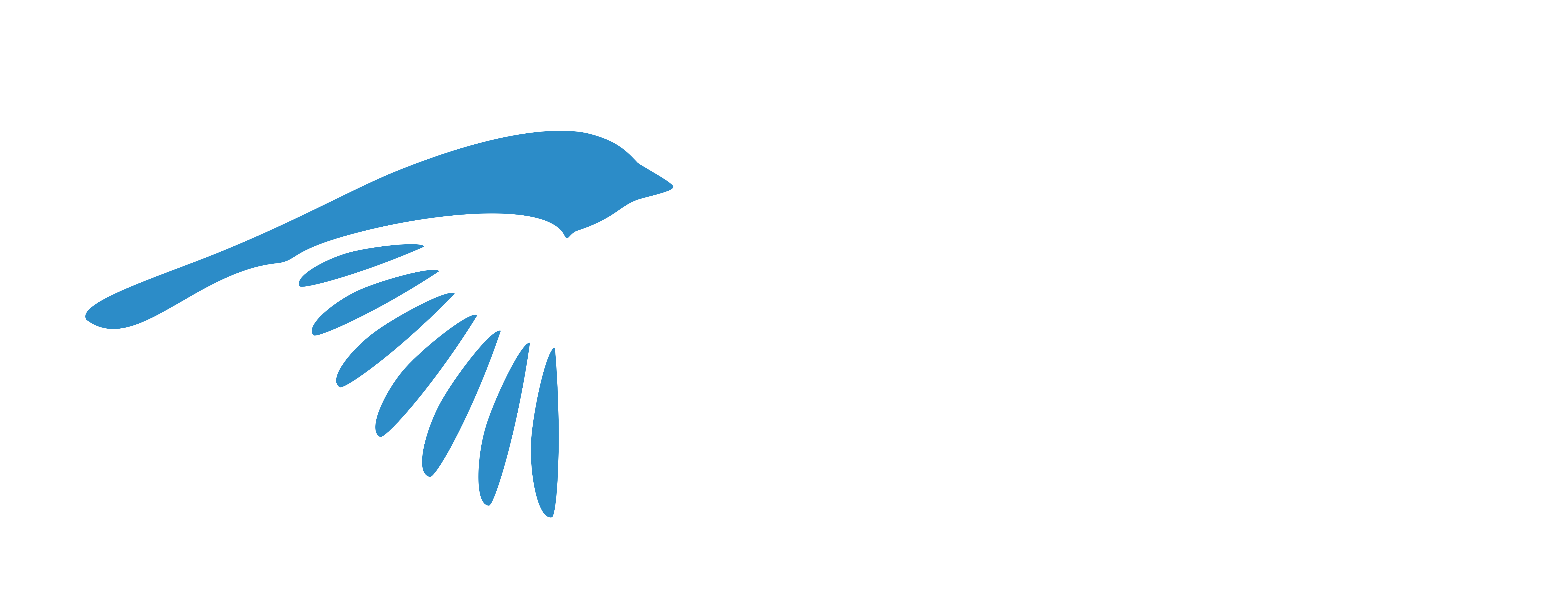 Sparrow Inspections